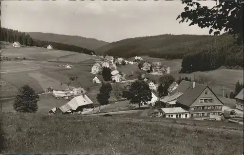 Eisenbach Schwarzwald  *