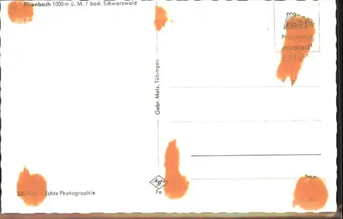 Eisenbach Schwarzwald  *