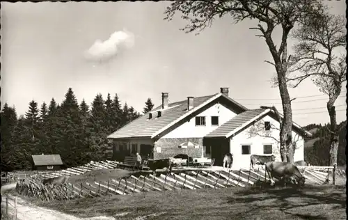 Thalkirchdorf Allgaeu Gaststaette Schwand-Alpe *