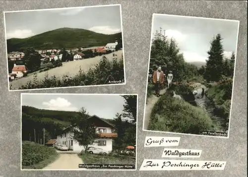 Arnbruck Gasthaus zur Poschinger Huette Forellenbach Bayerischer Wald *