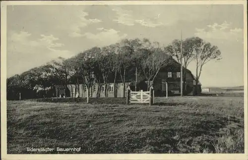 Toenning [Stempelabschlag] Eiderstaedter Bauernhof x