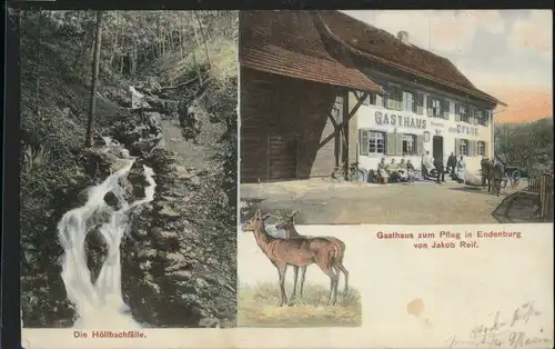 Endenburg Gasthaus Pflug Hoellbachfaelle Reh x