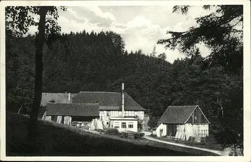 Eisenberg Thueringen Waldhaus Froschmuehle