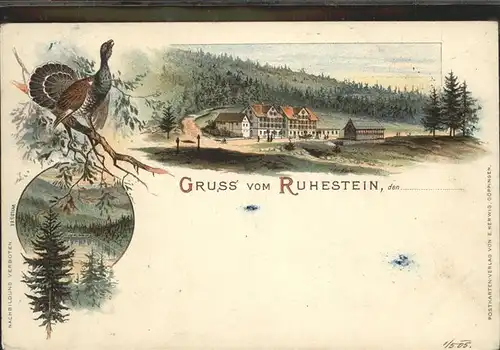 Ruhestein Teilansicht