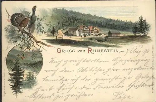 Ruhestein Teilansicht