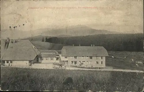 Schauinsland Gasthof Pension zur Halde Kat. Oberried