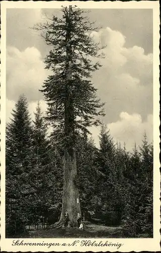 Schwenningen Neckar Hoelzlekoenig / Villingen-Schwenningen /Schwarzwald-Baar-Kreis LKR