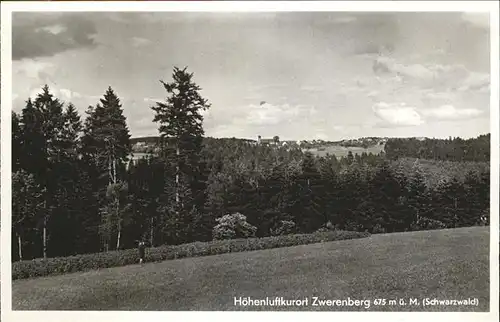 Zwerenberg Neuweiler Hoehenluftkurort Kat. Neuweiler