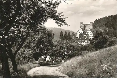 Berneck Altensteig Teilansicht Kat. Altensteig