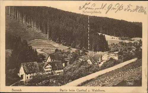 Berneck Altensteig Gasthof Waldhorn Kat. Altensteig