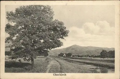 Oberkirch Baden Baum Kat. Oberkirch