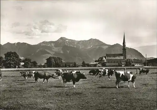 uebersee Kuehe Kat. uebersee