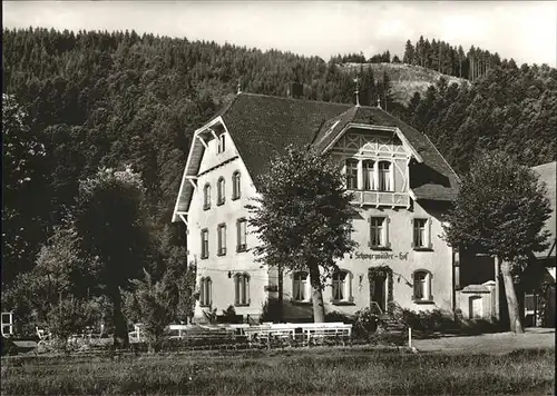 Bleibach Pension Schwarzwaelder Hof Kat. Gutach im Breisgau