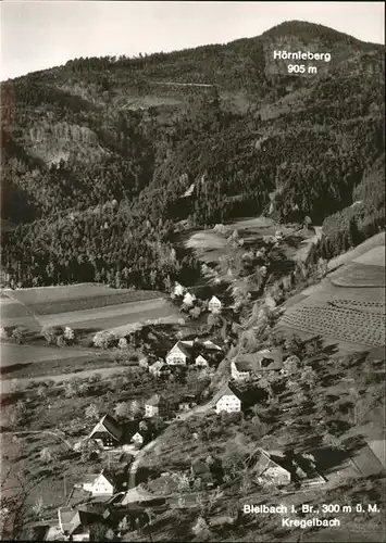 Bleibach Gesamtansicht Hoernleberg Kat. Gutach im Breisgau