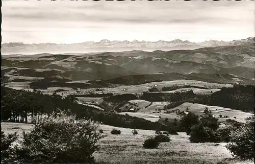 Kandel Waldkirch Breisgau Panorama Kat. Waldkirch