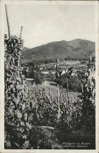 Muellheim Baden Blauen Kat. Muellheim