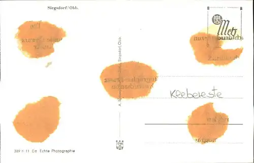 Siegsdorf  Kat. Siegsdorf