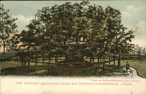 Augustusburg Linde Schloss Augustusburg Kat. Augustusburg
