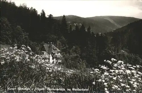 Baerenfels Erzgebirge Weisseritztal Kat. Altenberg