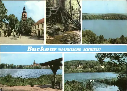 Buckow Maerkische Schweiz Markt Buckow-See Griepensee Kat. Buckow Maerkische Schweiz