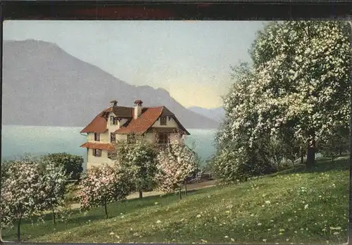 Vierwaldstaettersee Fruehjahr Kat. Brunnen