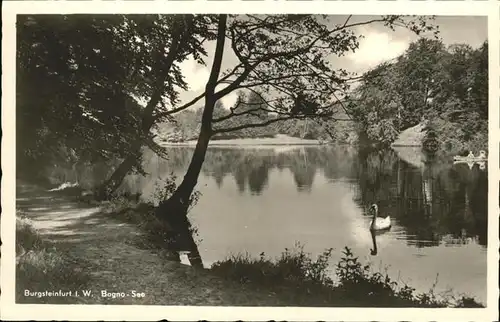 Burgsteinfurt Bagno See Kat. Steinfurt