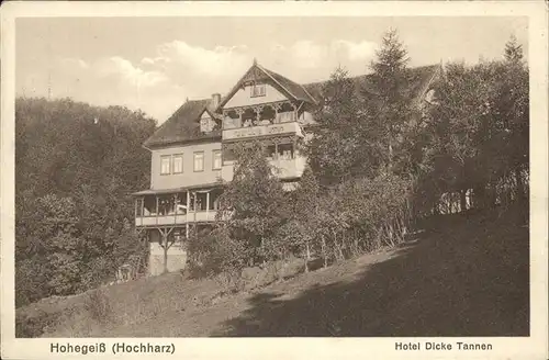 Hohegeiss Hotel Dicke Tannen Kat. Braunlage