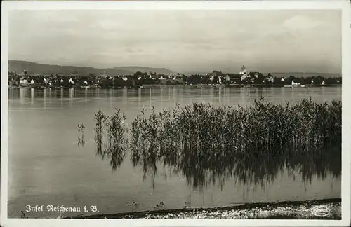 Reichenau Bodensee Bodensee Kat. Reichenau