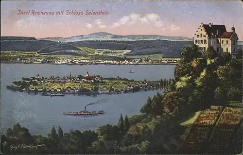 Reichenau Bodensee Schloss Salenstein Kat. Reichenau