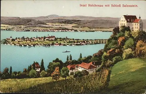 Reichenau Bodensee Schloss Salenstein Kat. Reichenau