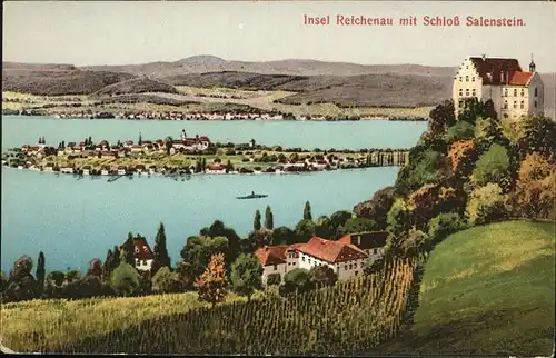 Reichenau Bodensee SchloÃŸ Salenstein Kat. Reichenau