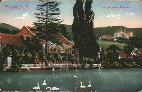 Ilsenburg zu den roten Forellen Teich Schwaene Kat. Ilsenburg Harz