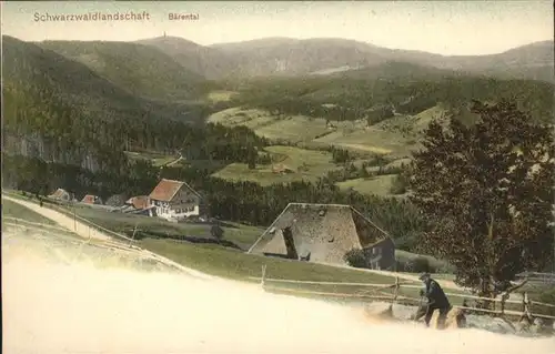 Baerental Feldberg Panorama / Feldberg (Schwarzwald) /Breisgau-Hochschwarzwald LKR