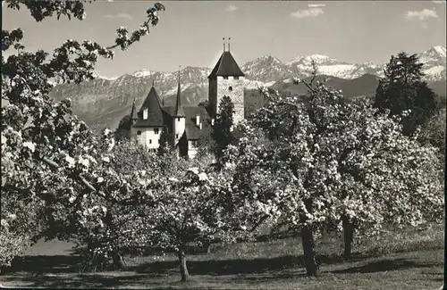 Spiez BE Schloss  / Spiez /Bz. Niedersimmental