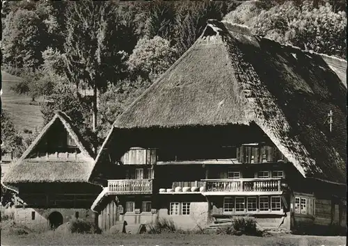 Gutach Schwarzwald Freilichtmuseum / Gutach /Ortenaukreis LKR