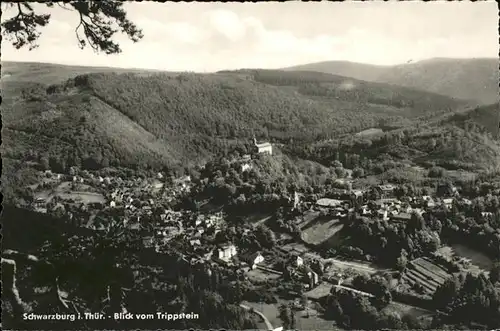 Schwarzburg Thueringer Wald Vom Trippstein / Schwarzburg /Saalfeld-Rudolstadt LKR