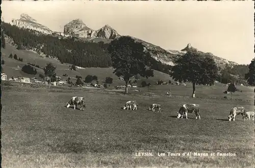 Leysin Kuehe / Leysin /Bz. Aigle