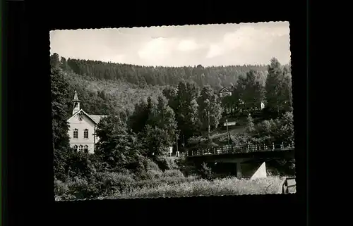 Ilsenburg Harz Bruecke / Ilsenburg Harz /Harz LKR