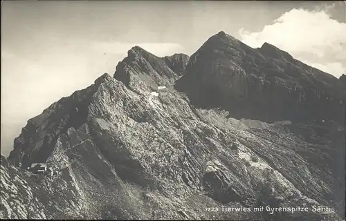 Saentis Tierwies Gyrenspitze Kat. Saentis