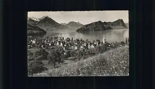 Vitznau Stanserhorn Buergenstock Kat. Vitznau