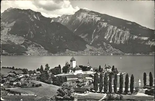 hw02522 Spiez BE Niederhorn Kategorie. Spiez Alte Ansichtskarten