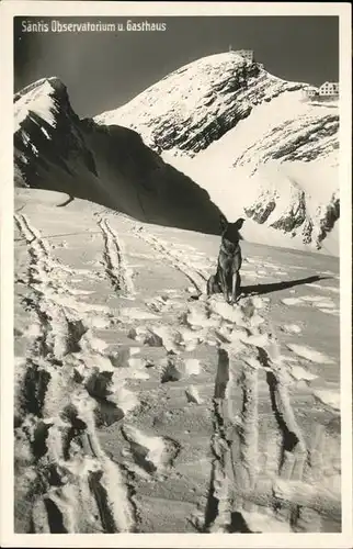 Saentis Observatorium Gasthaus Hund Kat. Saentis