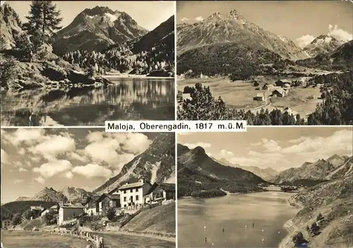 Maloja GR  / Maloja Graubuenden /Bz. Maloja