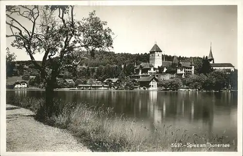 hw12516 Spiez BE Thunersee Kategorie. Spiez Alte Ansichtskarten