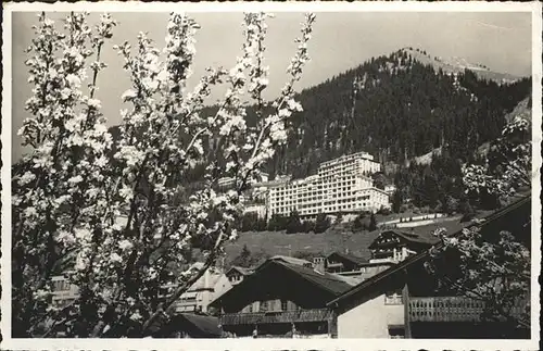 Leysin  Kat. Leysin