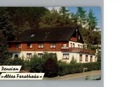 Zorge Pension Altes Forsthaus / Zorge /Osterode Harz LKR
