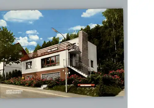 Zorge Pension Haus Tanneck / Zorge /Osterode Harz LKR