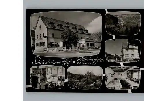 Wilhelmsfeld Gasthaus - Pension Schriesheimer Hof / Wilhelmsfeld /Heidelberg Stadtkreis