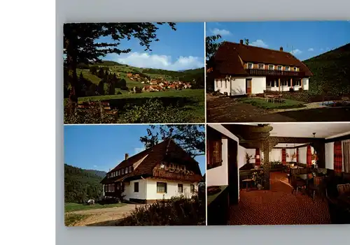 Huzenbach Haus Lug ins Tal / Baiersbronn /Freudenstadt LKR