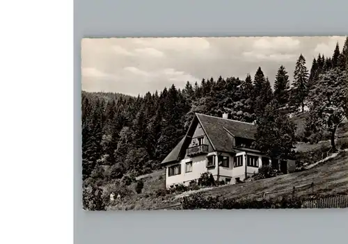 Menzenschwand Haus am Berg / St. Blasien /Waldshut LKR
